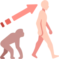 Evolution emote