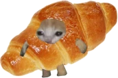 quaso emote