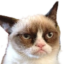 Grumpy static emote