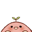 Peek emote