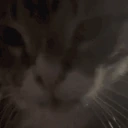 cuh emote