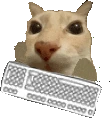 dosechatting emote