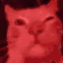 catDisco emote