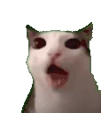 CRUNCHY emote