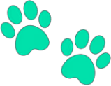 cyan emote
