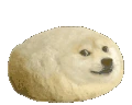 dogepoyo emote