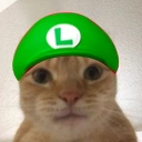 catLuigi emote