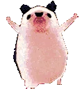 HedgehogDisco emote