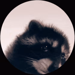 Pedro emote