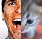 UtterlyInsane emote
