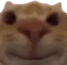 SmileStare emote