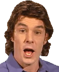 theNewPog emote