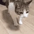 CatSlowFall emoji
