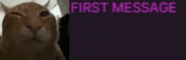 buhthenewchatter emote