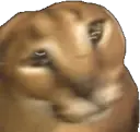 shakingfloppa emote