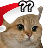 christmas_starecat emote