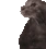 Cat_Depression emoji