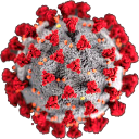 coronavirus emote