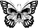 butterfly_skull emote