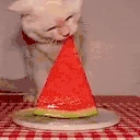 Cateatinmelonhehappy emote