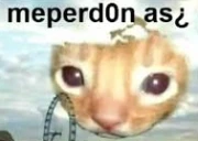meperd0nas emote
