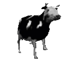 dpCow emote