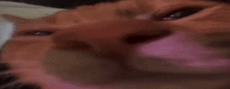 nogang animated emote