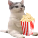 catsittingverycomfortablecinema emote