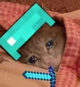SadCatSleep emote