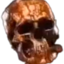pack emote