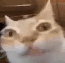 Erm emote
