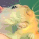 xomyakJam emoji