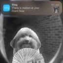 motion emoji