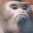 monkeInsulted emote