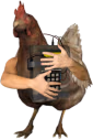 chicken emote