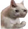 CE_UglyCry3 emote