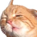 spacedOut emote