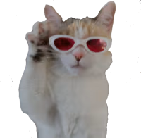 panko_glasses emote