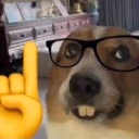 ACTUALLY emote
