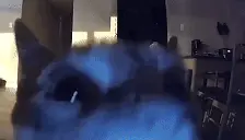 FLASHBANG emote