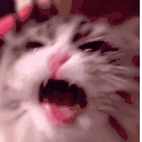 Rage emote
