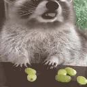 RacoonEatsGreenGrapes emote