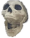 Skull_Lmao emote