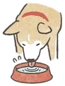 ShibaDrink emote