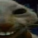 xdd2 emote