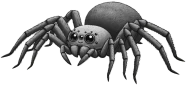 Scary_spider emote