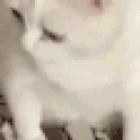 rzyg emote