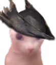 bingusborne emote