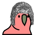 tinfoilhatParrot emote