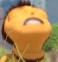 NUT emote